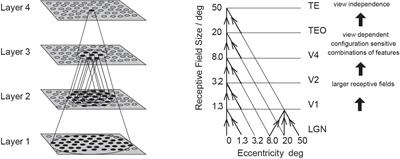 Learning Invariant Object and Spatial View Representations in the Brain Using Slow Unsupervised Learning